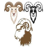 属羊用什么头像最旺财