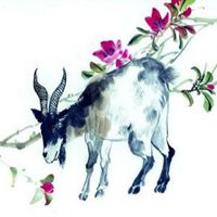 属羊的用什么头像好