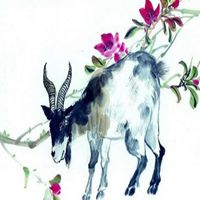 属羊的用什么头像好