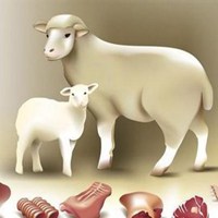 属羊的用什么头像好