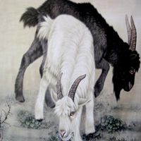 属羊的用什么头像好