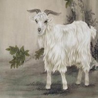 属羊的用什么头像好