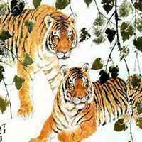 属虎合适的头像