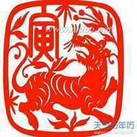 属虎合适的头像