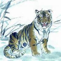 属虎合适的头像