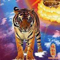 属虎头像那个最好