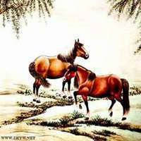 属马头像图片大全