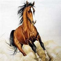 属马用什么头像最旺财