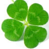 微信2018好运头像