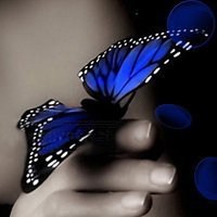 最美的蝶恋花头像图片