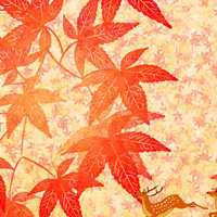 漂亮的枫叶头像