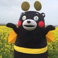 熊本熊头像卡通