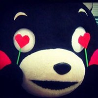 熊本熊头像卡通