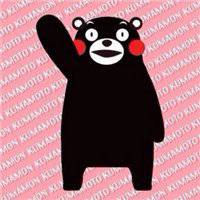 熊本熊头像卡通