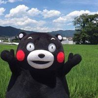 熊本熊头像卡通