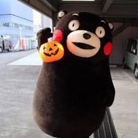 熊本熊头像卡通