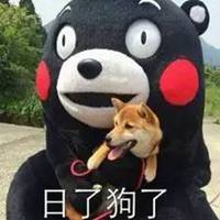 熊本熊头像卡通