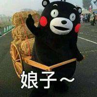 熊本熊情侣头像