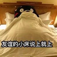 熊本熊情侣头像