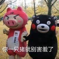 熊本熊情侣头像