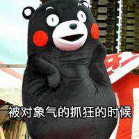 熊本熊情侣头像