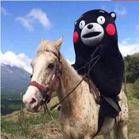 熊本熊情侣头像