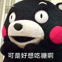 熊本熊情侣头像