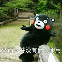 熊本熊情侣头像