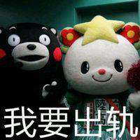 熊本熊情侣头像