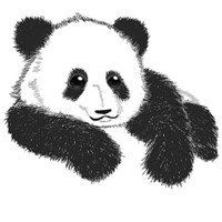 熊猫三剑客头像