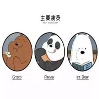 熊猫三剑客头像