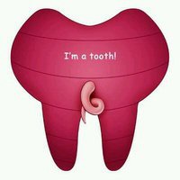 牙齿头像图片大全