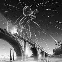 狮子座头像图片大全