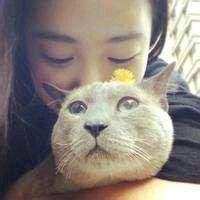 猫系情侣头像