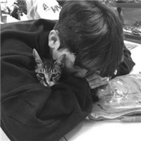 男头酷酷的头像大全