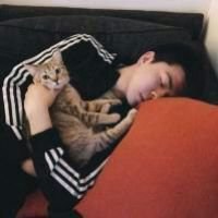 男生抱猫头像