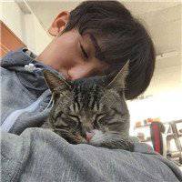 男生抱猫头像