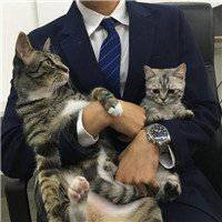 男生抱猫头像