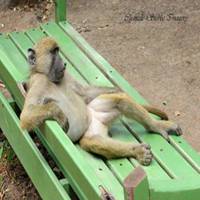 男生葛优躺头像