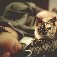 男生趴着的头像