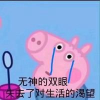 社会人佩琪头像