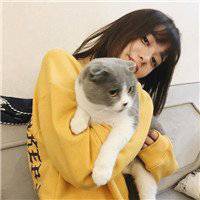 美女抱猫头像图片