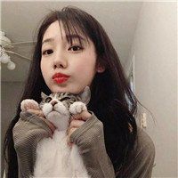 美女抱猫头像图片