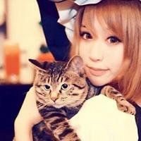 美女抱猫头像图片