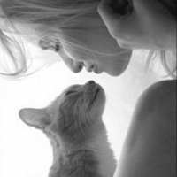 美女抱猫头像图片