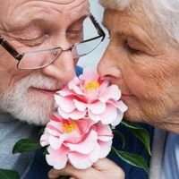 适合老年人用的微信头像