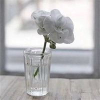 伤感女生心累了文字头像