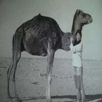 作家三毛头像图片