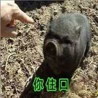 你不要再说了表情头像