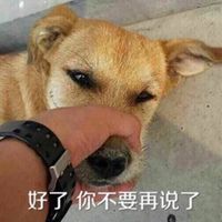 你不要再说了表情头像